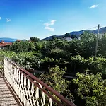 Apartament Grzin
